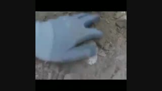 شکار راف کوارتز دودی Smoky Quartz