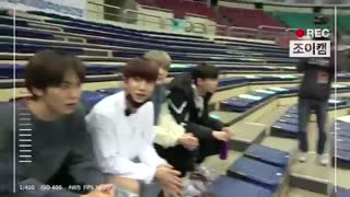 Handsome tigers with astro