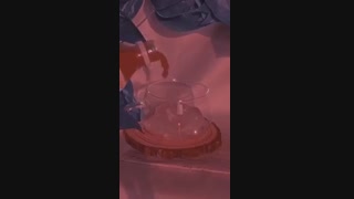 سلا من برگشتم