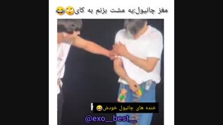 چرا شوور منو ادیت میکنی چانی):
