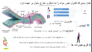 گام به گام کلاغ سپید دهم انسانی pdf و کتاب کمک درسی های اف اف