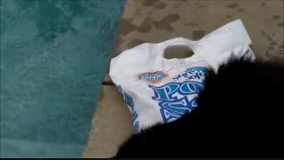 استخر آب شور