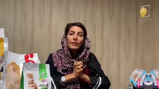 پینگو - غذای خشک یا خانگی