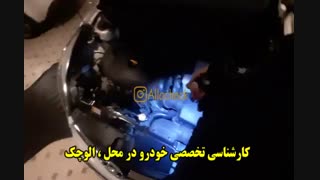 کارشناسی تخصصی خودرو در محل : << الوچک >>