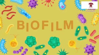 چه اتفاقی می افتد اگر مسواک نزنیم؟