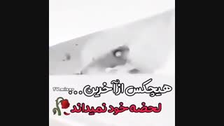 آخرین خداحافظی