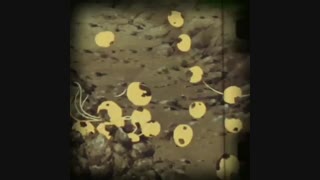 روز مادر مبارک