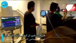 آخرین وضعیت هیرمان شیر ایرانی