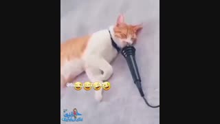 تصورات من وقتی ک شوگا میخوابه*-*