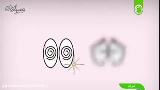 دمنوش نیوشا برای میگرن