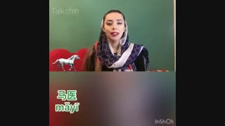 ضرب المثل با اسب به زبان چینی