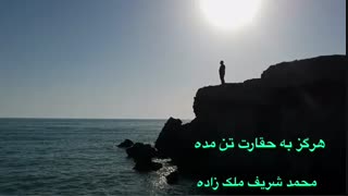 درس هایی از موفقیت با پروفسور محمدشریف ملک زاده