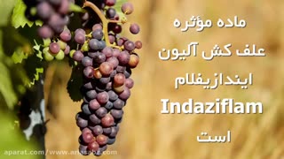 آلیون، علف کش طیف وسیع | Alion