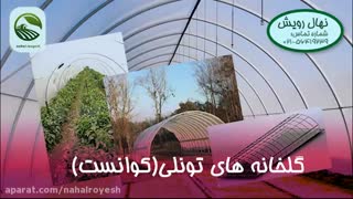 معرفی شرکت مهندسی کشاورزی نهال رویش