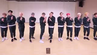 SEVENTEEN (세븐틴) - 박수 (CLAP) Dance Practice (Mirrored)