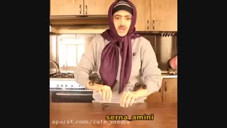 # سرنا امینی