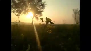 به نام خدایی که بزرگتر از ناو های آمریکاست...