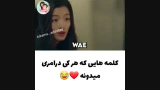 کلمه هایی ک هر کی درامری میدونه :)