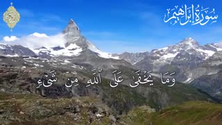 تلاوت قران - قارى جعفرى