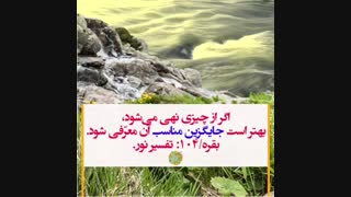 تربیت سالم