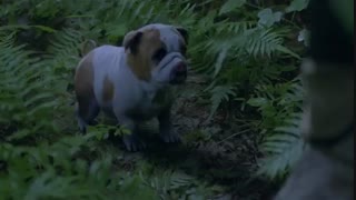 قسمت پانزدهم سریال چینی سرزمین ارواحDouluo Continent 2021+زیرنویس فارسی آنلاین